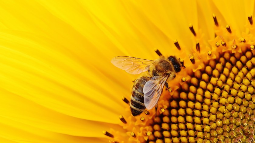 The Lullaby of Eternal Rediscovery of Existence and&nbsp;Identity